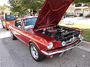 2010 Cars for the Cure 065